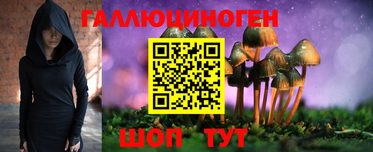 Каменск-Шахтинский  Галлюциногенные грибы мицелий  Вход с VPN 